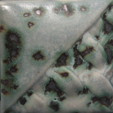 Load image into Gallery viewer, Moonscape SW-147 Stoneware Mayco Pint