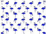 Decal Flamingo DC10011